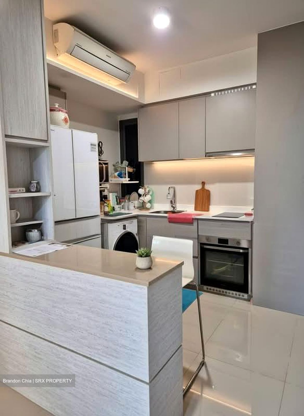 The Visionaire (D27), Condominium #587620461